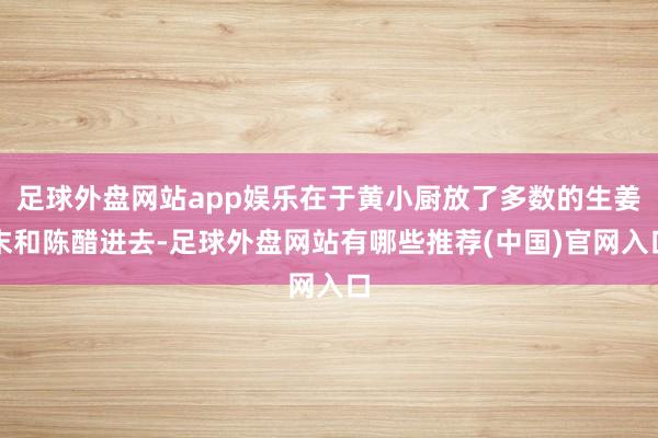 足球外盘网站app娱乐在于黄小厨放了多数的生姜末和陈醋进去-足球外盘网站有哪些推荐(中国)官网入口