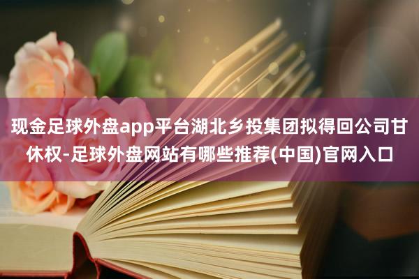现金足球外盘app平台湖北乡投集团拟得回公司甘休权-足球外盘网站有哪些推荐(中国)官网入口
