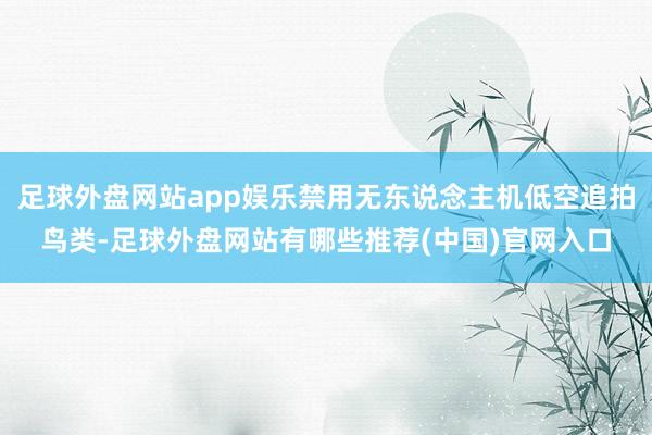 足球外盘网站app娱乐禁用无东说念主机低空追拍鸟类-足球外盘网站有哪些推荐(中国)官网入口