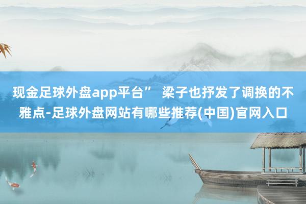 现金足球外盘app平台”  梁子也抒发了调换的不雅点-足球外盘网站有哪些推荐(中国)官网入口
