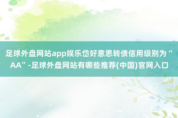 足球外盘网站app娱乐岱好意思转债信用级别为“AA”-足球外盘网站有哪些推荐(中国)官网入口