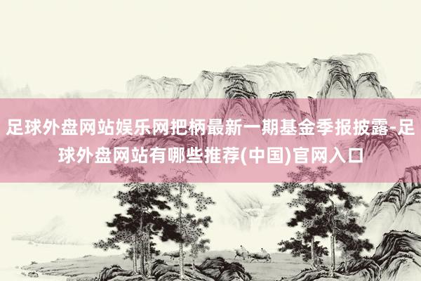 足球外盘网站娱乐网把柄最新一期基金季报披露-足球外盘网站有哪些推荐(中国)官网入口
