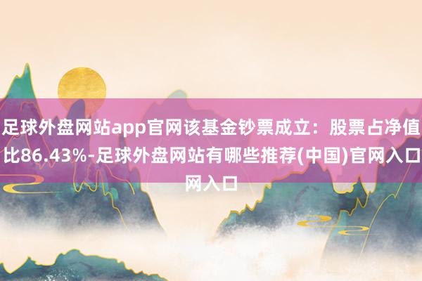 足球外盘网站app官网该基金钞票成立：股票占净值比86.43%-足球外盘网站有哪些推荐(中国)官网入口