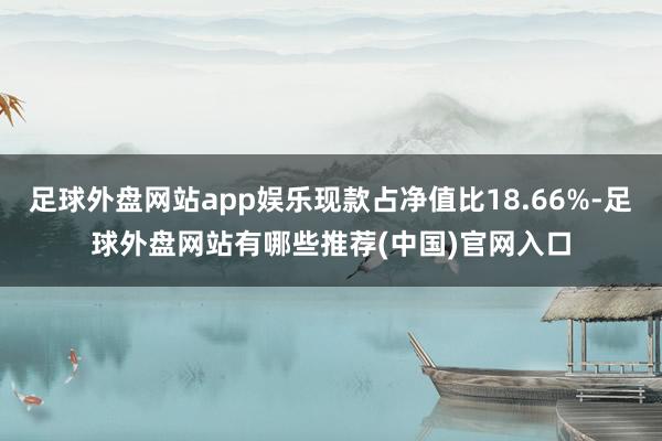 足球外盘网站app娱乐现款占净值比18.66%-足球外盘网站有哪些推荐(中国)官网入口