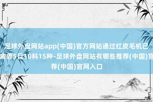 足球外盘网站app(中国)官方网站通过红皮毛机已监测到禽兽5目10科15种-足球外盘网站有哪些推荐(中国)官网入口