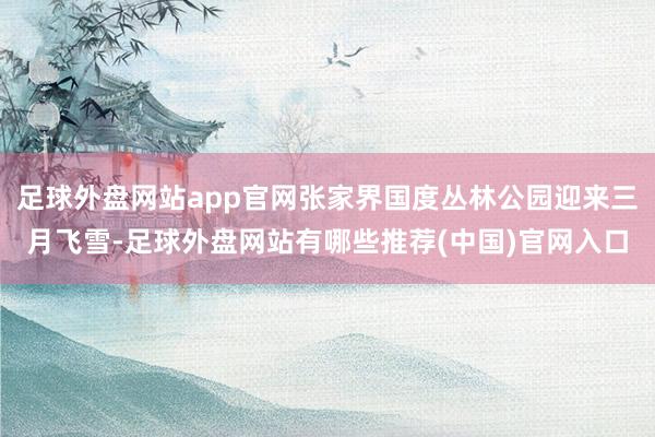 足球外盘网站app官网张家界国度丛林公园迎来三月飞雪-足球外盘网站有哪些推荐(中国)官网入口
