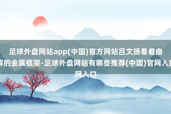足球外盘网站app(中国)官方网站吕文扬看着曲解的金属框架-足球外盘网站有哪些推荐(中国)官网入口
