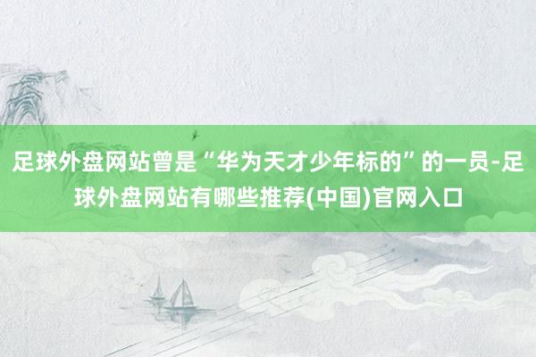 足球外盘网站曾是“华为天才少年标的”的一员-足球外盘网站有哪些推荐(中国)官网入口