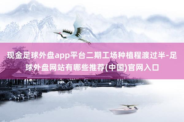 现金足球外盘app平台二期工场种植程渡过半-足球外盘网站有哪些推荐(中国)官网入口