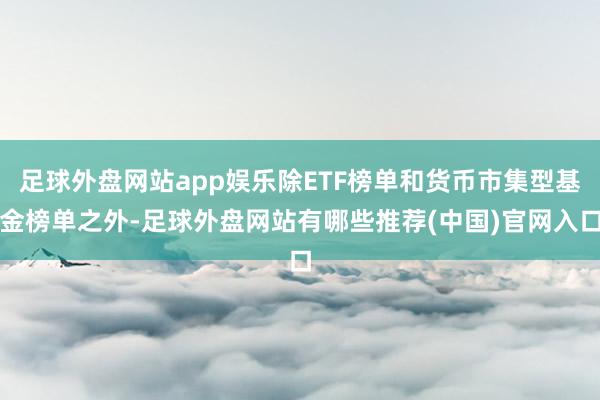 足球外盘网站app娱乐除ETF榜单和货币市集型基金榜单之外-足球外盘网站有哪些推荐(中国)官网入口